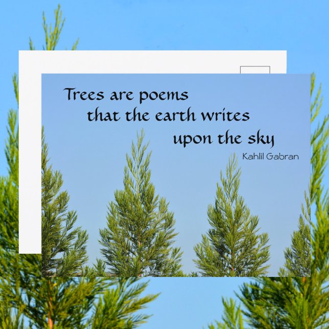 Trees are Poems Kahlil Gabran Quote Photographic Postcard (Creator Uploaded)