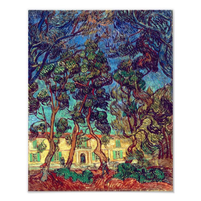 Trees at Hospital Garden | Van Gogh | Photo Print (Front)
