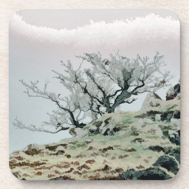 TREES BEVERAGE COASTER (Front)