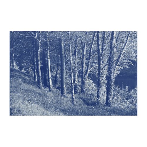 Trees by a River _ Cyanotype Effect Acrylic Print