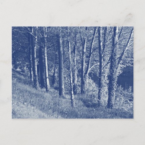 Trees by a River _ Cyanotype Effect Postcard