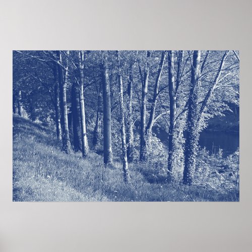 Trees by a River _ Cyanotype Effect Poster