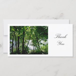 Trees by a River - Thank You