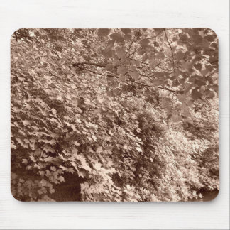 Trees by the Canal Mouse Pad