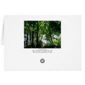 Trees by the River Cards (Back Horizontal)