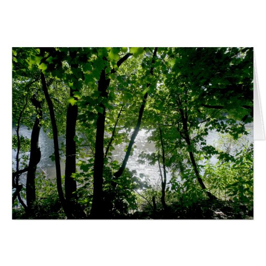 Trees by the River Cards (Front Horizontal)