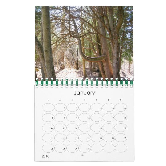 Trees Calendar 2010
