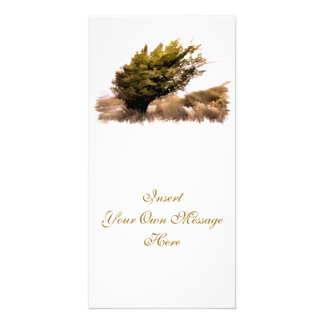 TREES CARD (Front)
