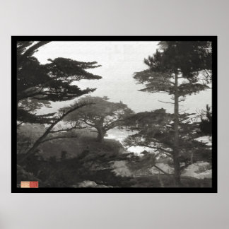 Trees - Carmel By The Sea, California Poster