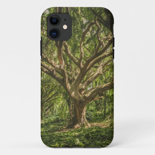 Trees iPhone 11 Case
