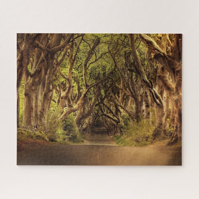 Trees Covering Road in Northern Ireland Jigsaw Puzzle (Horizontal)