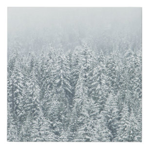 TREES COVERING SNOW FAUX CANVAS PRINT