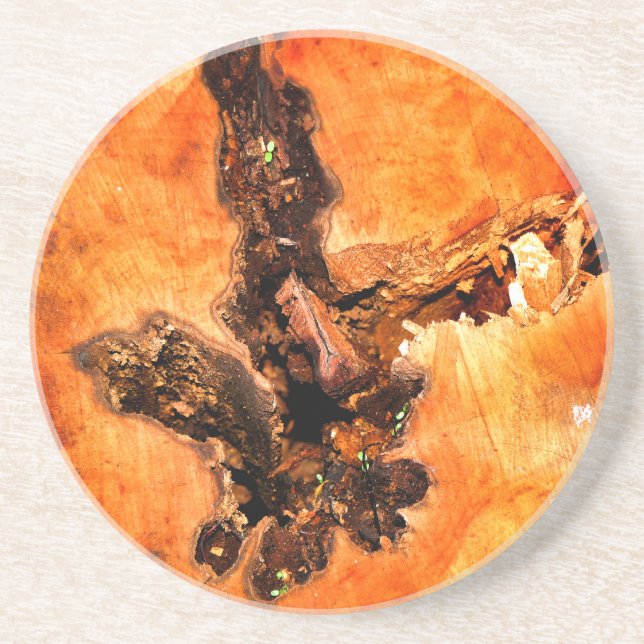 TREES DRINK COASTER (Front)