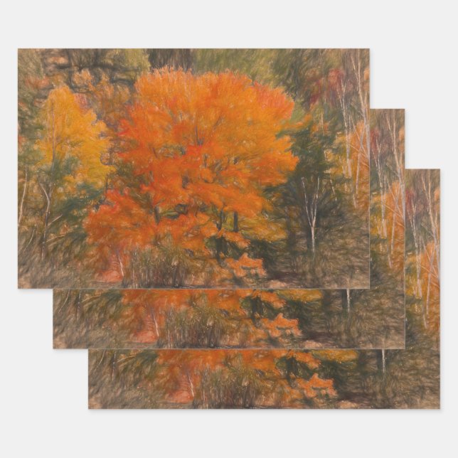 Trees Fall Woodland Forest Orange Sketch Art Wrapping Paper Sheets (Set)