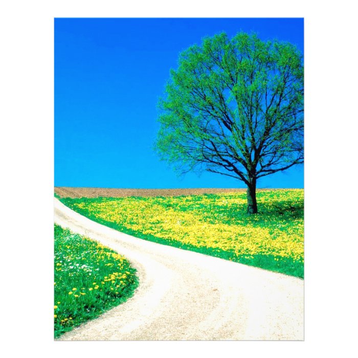 Trees Flowers Spring Road Letterhead Template