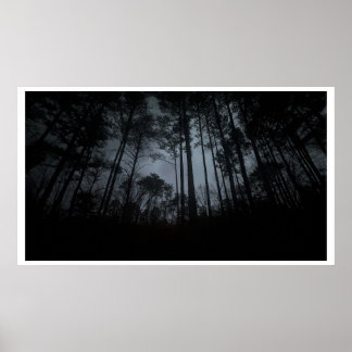 Trees & Fog, Poster