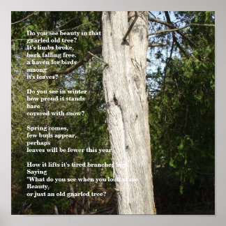 Arbor Day Posters | Zazzle