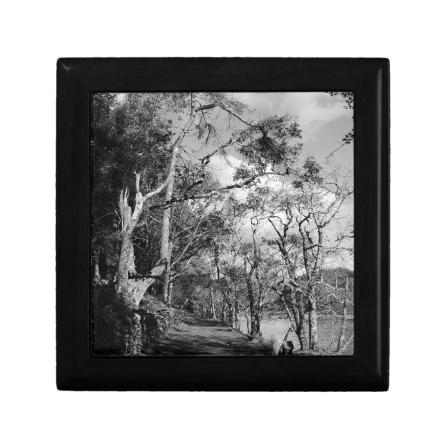 TREES GIFT BOX (Front)