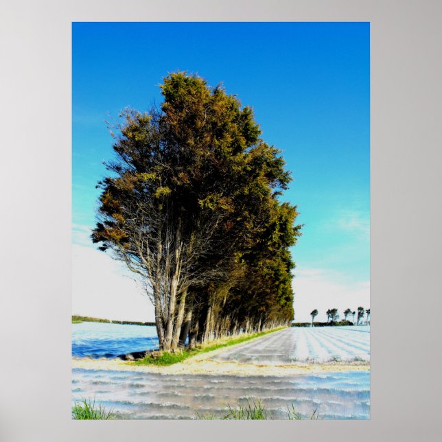 Trees in a Jersey Landscape Poster (Front)