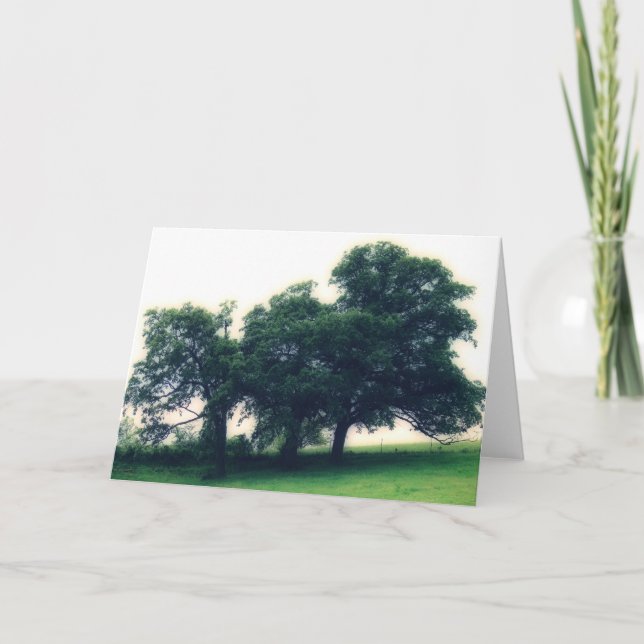 Trees in a Pasture all occasions Card (Front)
