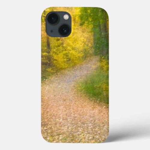 Trees in Autumn Colors and Leaf_Covered Pathway iPhone 13 Case