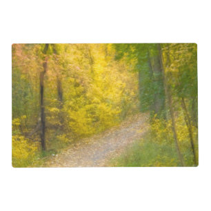 Trees in Autumn Colors and Leaf-Covered Pathway Placemat