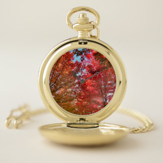 Trees In Fall, Pretty Changing Leaves, Colourful Pocket Watch