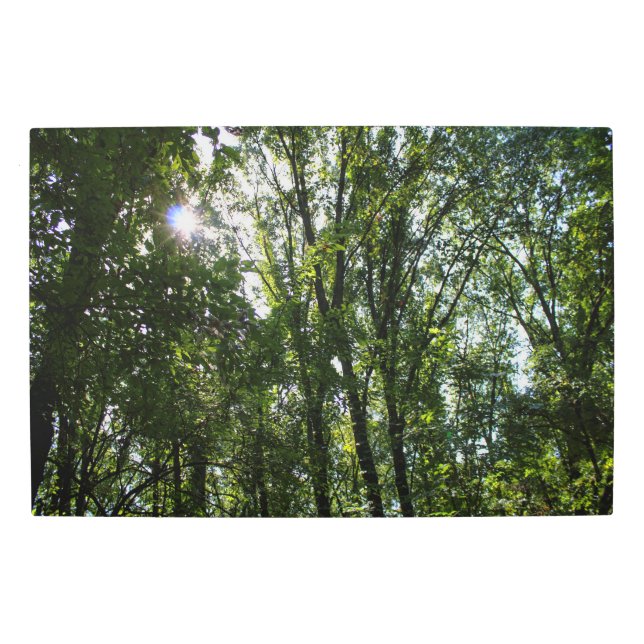 Trees in Harral Park Metal Wall Art (Front)