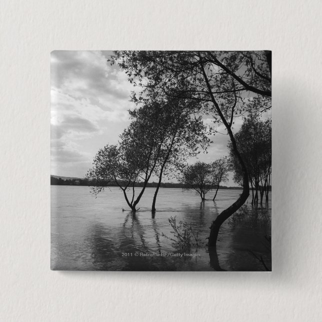Trees in lake button (Front)
