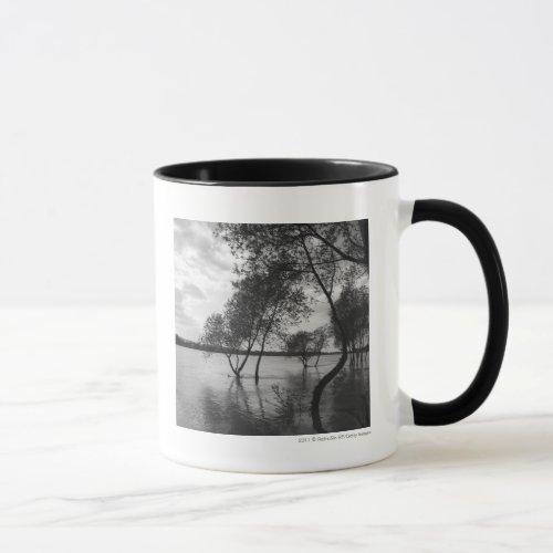 Trees in lake mug