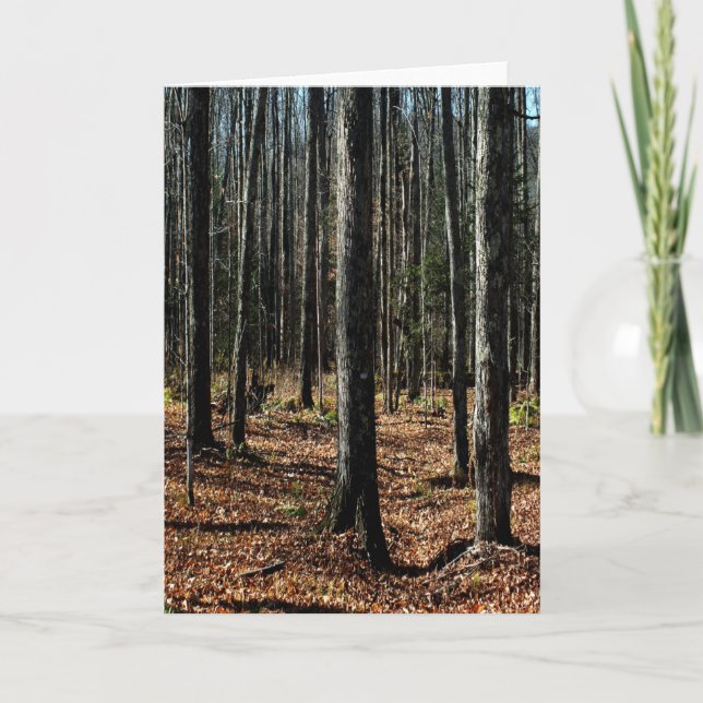 Trees in Late Autumn: Digitally Transformed Forest Card (Front)