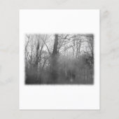 Trees in Mist. Black and White. (Back)