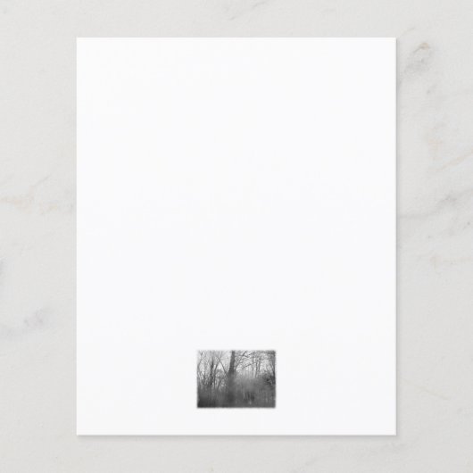 Trees in Mist. Black and White. (Front)