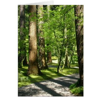 Trees in Nitobe Garden Cards
