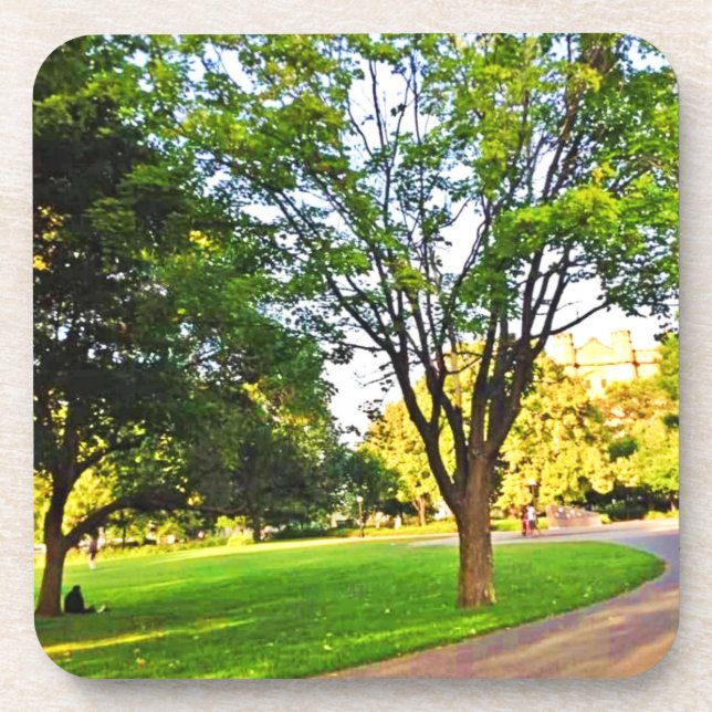 Trees In Ottawa Park. Buy Now Cutting Board Beverage Coaster (Front)