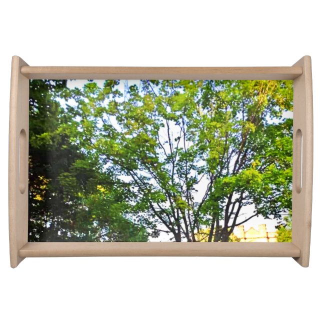 Trees In Ottawa Park. Buy Now Serving Tray (Front)