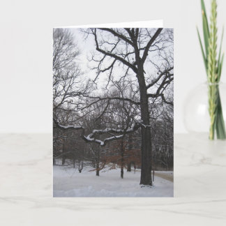 Trees in Snow I Holiday Card