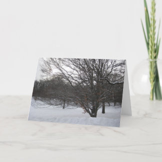 Trees in Snow II Holiday Card