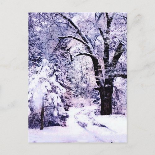 Trees in Snow Postcard