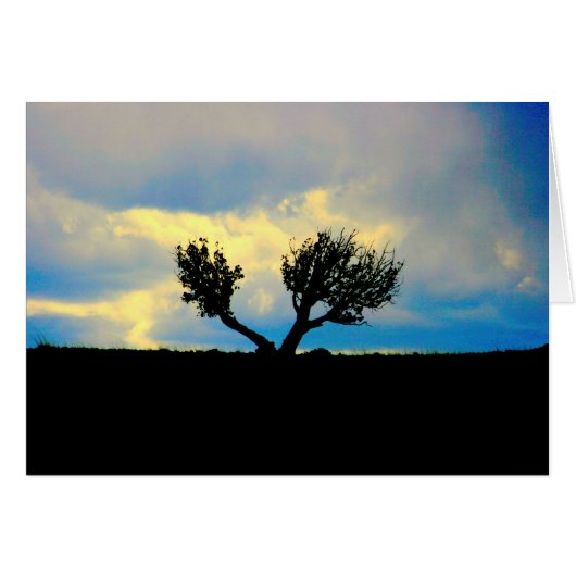 Trees in the Desert Cards (Front Horizontal)