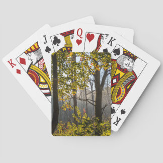 Trees In The Fog Playing Cards