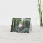 Trees in the Forest - nature greeting card