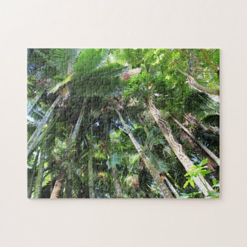 Trees in the Hawaii Tropical Botanical Garden Jigsaw Puzzle