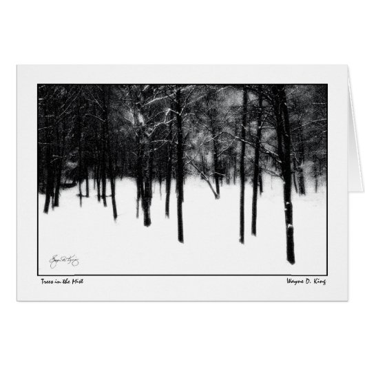 Trees in the Mist Cards (Front Horizontal)