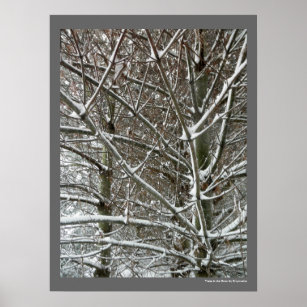 Trees in the Snow Winter Photo Poster