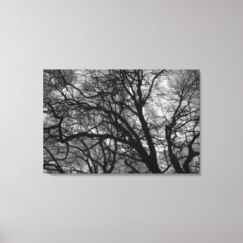 Trees in Winter Canvas Print