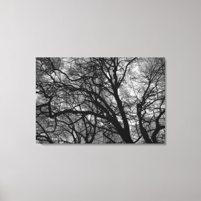 Trees in Winter Canvas Print (Front)