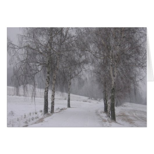 Trees in Winter Cards (Front Horizontal)