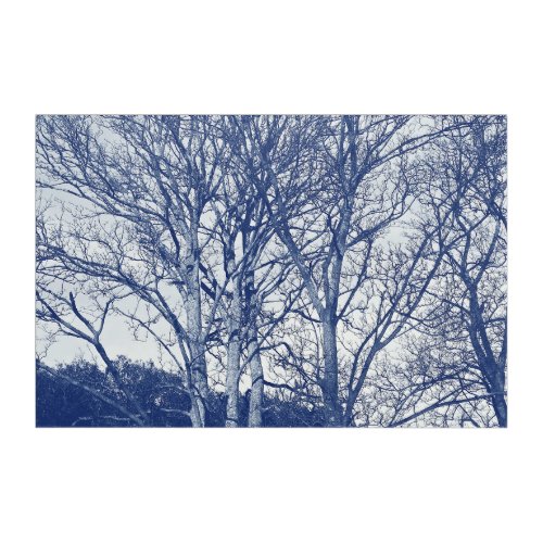 Trees in Winter _ Cyanotype Effect Acrylic Print