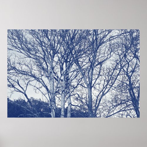 Trees in Winter _ Cyanotype Effect Poster